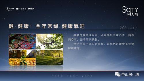 深圳文哥最新的爆料新闻,最新劲爆新闻揭秘 第3张 深圳文哥最新的爆料新闻,最新劲爆新闻揭秘 第3张