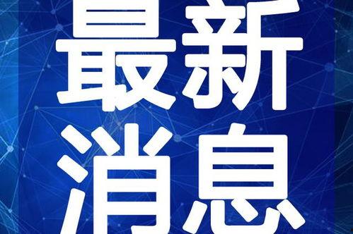 火山网球爆料视频大全最新,揭秘赛场幕后精彩瞬间