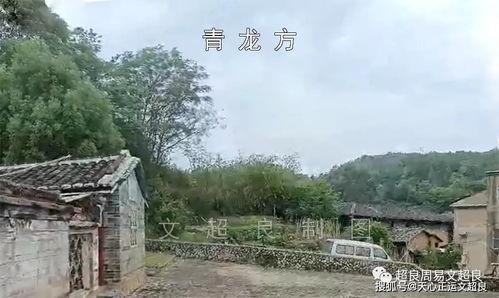 桉氏夫妇爆料了吗视频,揭秘背后惊人真相  第3张