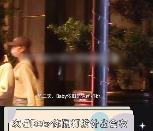 狗仔迷惑爆料视频大全,揭秘娱乐圈幕后真相大揭秘  第2张