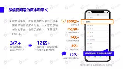 过年网友爆料视频下载安装,过年视频下载安装全过程揭秘  第3张
