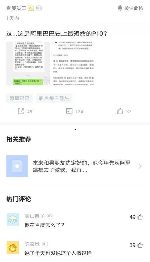 钉钉最新爆料消息,功能升级与全新体验即将来袭！