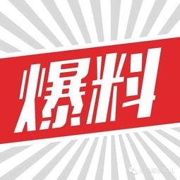廉江头条最新爆料,最新爆料事件深度解析  第3张