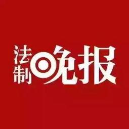 江西卫视热点爆料新闻视频,热点新闻背后的惊人真相