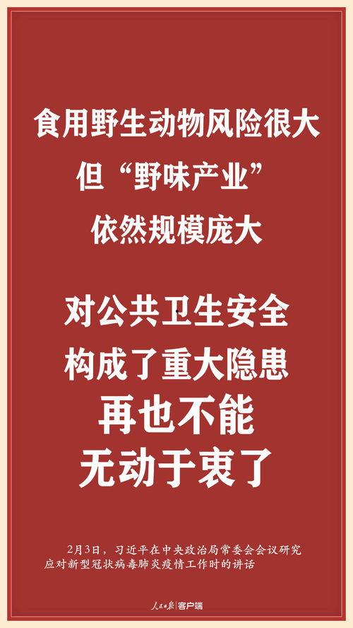 在线观看无毒,无毒享受视听盛宴
