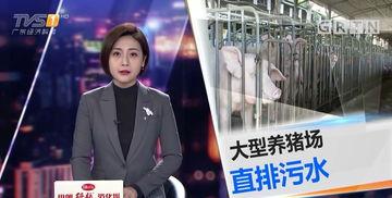 今日一线会爆料,揭秘娱乐圈惊人内幕