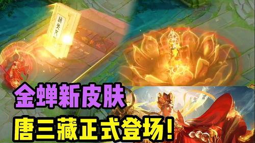 金蝉皮肤最新爆料图片  第2张 金蝉皮肤最新爆料图片  第2张