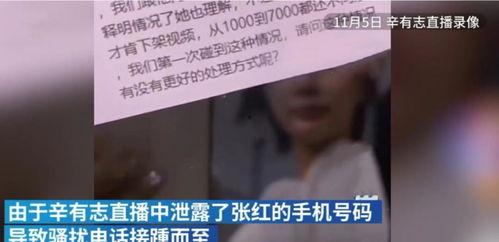 辛巴母亲爆料视频播放下载,揭秘背后真相  第1张
