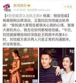 大料爆料视频大全,揭秘娱乐圈幕后真相  第1张